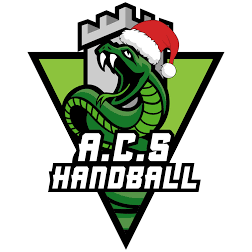 AC SEYSSINET HANDBALL 1