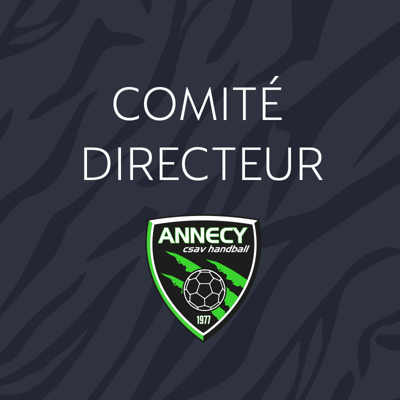 Le Comité Directeur